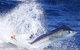 True Blue Fishing Charters - thumb 6