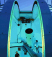 Book Bickley Accommodation Vacations Find Attractions Find Attractions