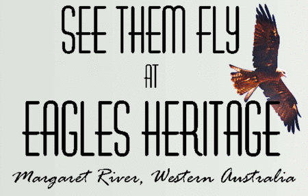 Eagles Heritage Raptor Wildlife Centre - Find Attractions