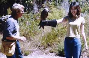 Eagles Heritage Raptor Wildlife Centre - Find Attractions 2
