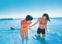 Book Cockburn Central Accommodation Vacations Find Attractions Find Attractions