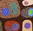Turner Galleries - Find Attractions