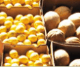Brisbane Markets - Find Attractions