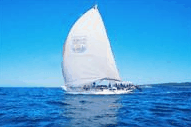 Manly Harbour Village - Find Attractions