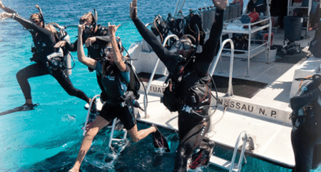 Snorkel Safari Brisbane - Find Attractions