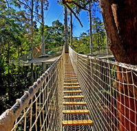 Thunderbird Park - Find Attractions