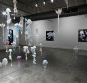 Nellie Castan Gallery - Find Attractions