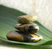 The Nature of Balance - Find Attractions
