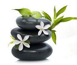 Tea House Spa Sauna - Find Attractions 0