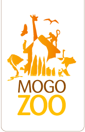Mogo Zoo - Find Attractions 0