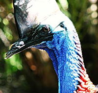 Alma Park Zoo - Find Attractions