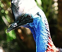 Alma Park Zoo - Find Attractions 0