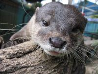 Underwater World - Find Attractions 1
