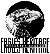 Eagles Heritage - Find Attractions