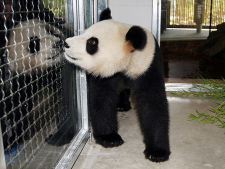 Adelaide Zoo - Find Attractions 3
