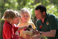 Book Crafers Accommodation Vacations Find Attractions Find Attractions