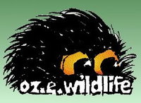 Book Wodonga Accommodation Vacations Find Attractions Find Attractions
