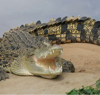 Dundee's Wildlife Park - Find Attractions