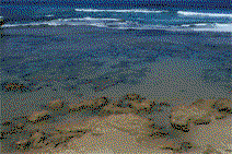 Campbell ACT Find Attractions