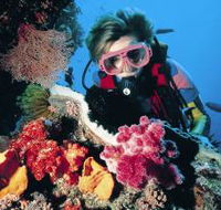 Gold Coast Seaway Dive Site - Find Attractions