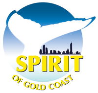 Spirit of Gold Coast Whale Watching - Find Attractions