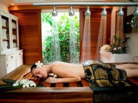 Book Palm Cove Accommodation Vacations Find Attractions Find Attractions