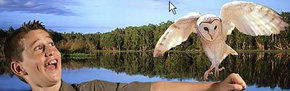 Territory Wildlife Park - Find Attractions 2