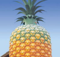 The Big Pineapple - Find Attractions