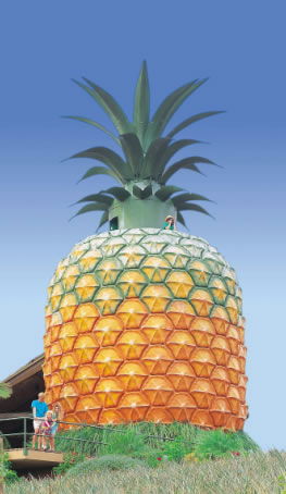 The Big Pineapple - Find Attractions 0