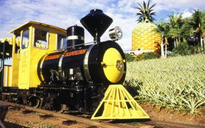 The Big Pineapple - Find Attractions 3