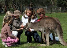 Gumbuya Park - Find Attractions 1