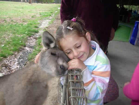 Gumbuya Park - Find Attractions 3