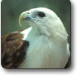 Kakadu National Park - Find Attractions