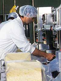 Allansford Cheese World - Find Attractions 1