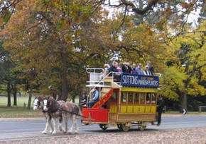 Ballarat Tramway Museum - Find Attractions 1