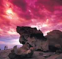 Kangaroo Island Adventure Tour 2 day/1 night - Find Attractions
