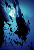 Scuba World