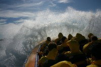 Jetboating Sydney - Find Attractions 1