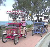 Beach Safaris - Find Attractions