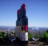 Mount Tamborine Winery  Homestead - Find Attractions