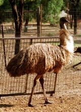 Waterways Wildlife Park - Find Attractions 2