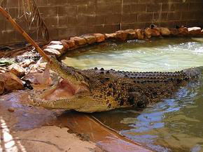  Find Attractions