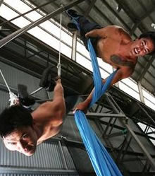 Sydney Trapeze School - Find Attractions 2