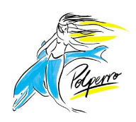 Polperro Dolphin Swims - Find Attractions 0