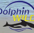 Dolphin Wild - Find Attractions