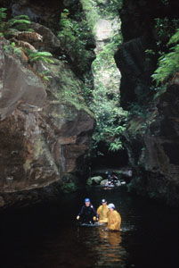 High And Wild Mountain Adventures - Find Attractions 1