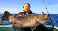 Book Cronulla Accommodation Vacations Find Attractions Find Attractions