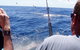 Downunder Charters - thumb 3