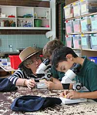 Australian National Botanic Gardens - Find Attractions 2