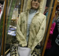 Alpine Museum - Find Attractions